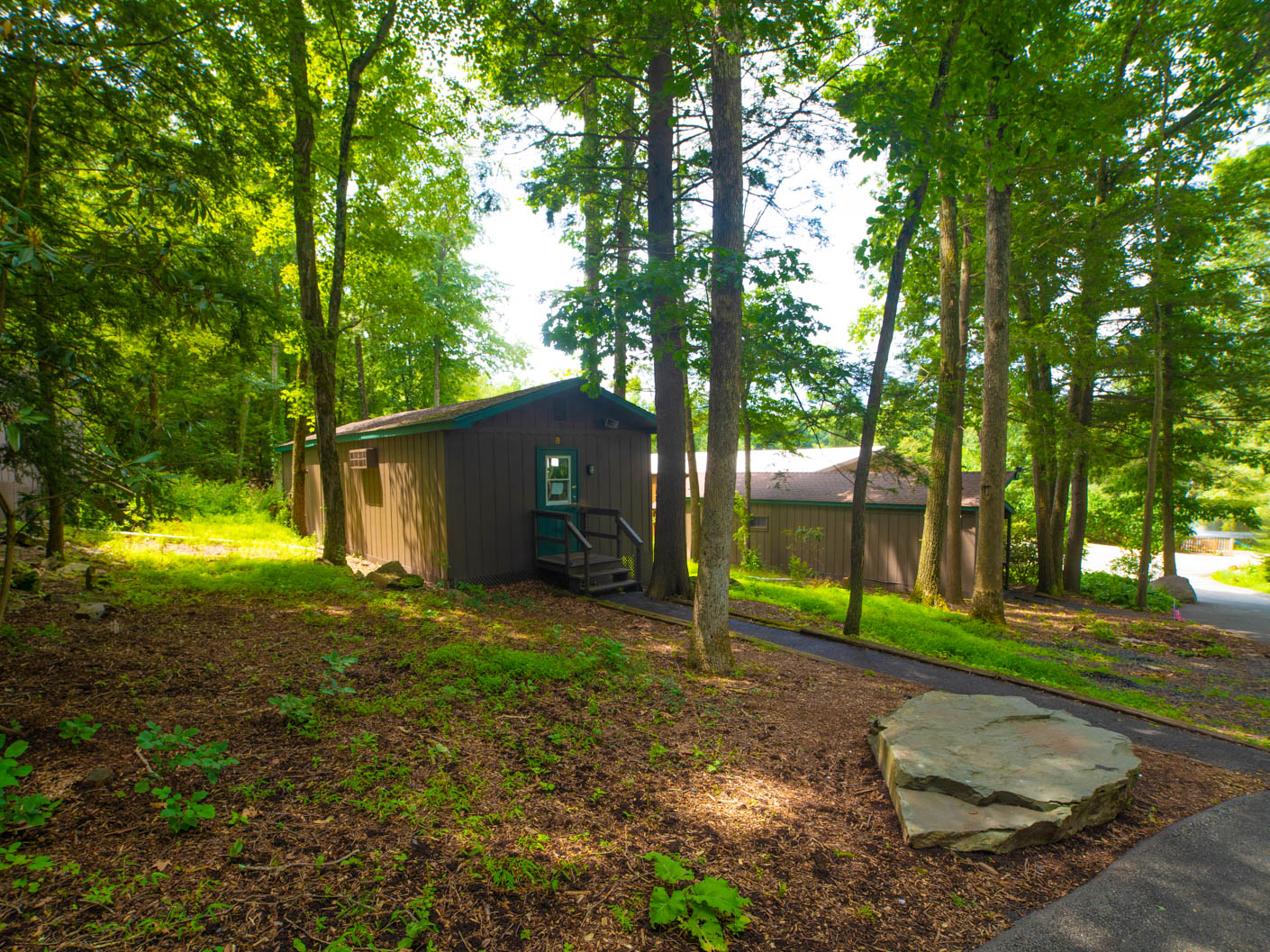 exterior shot of a cabin situated in a wooded area of the camp